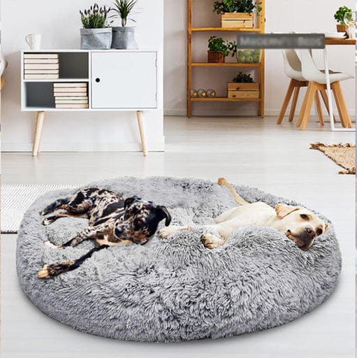 Calming Dog and Cat Bed with Raised Rim