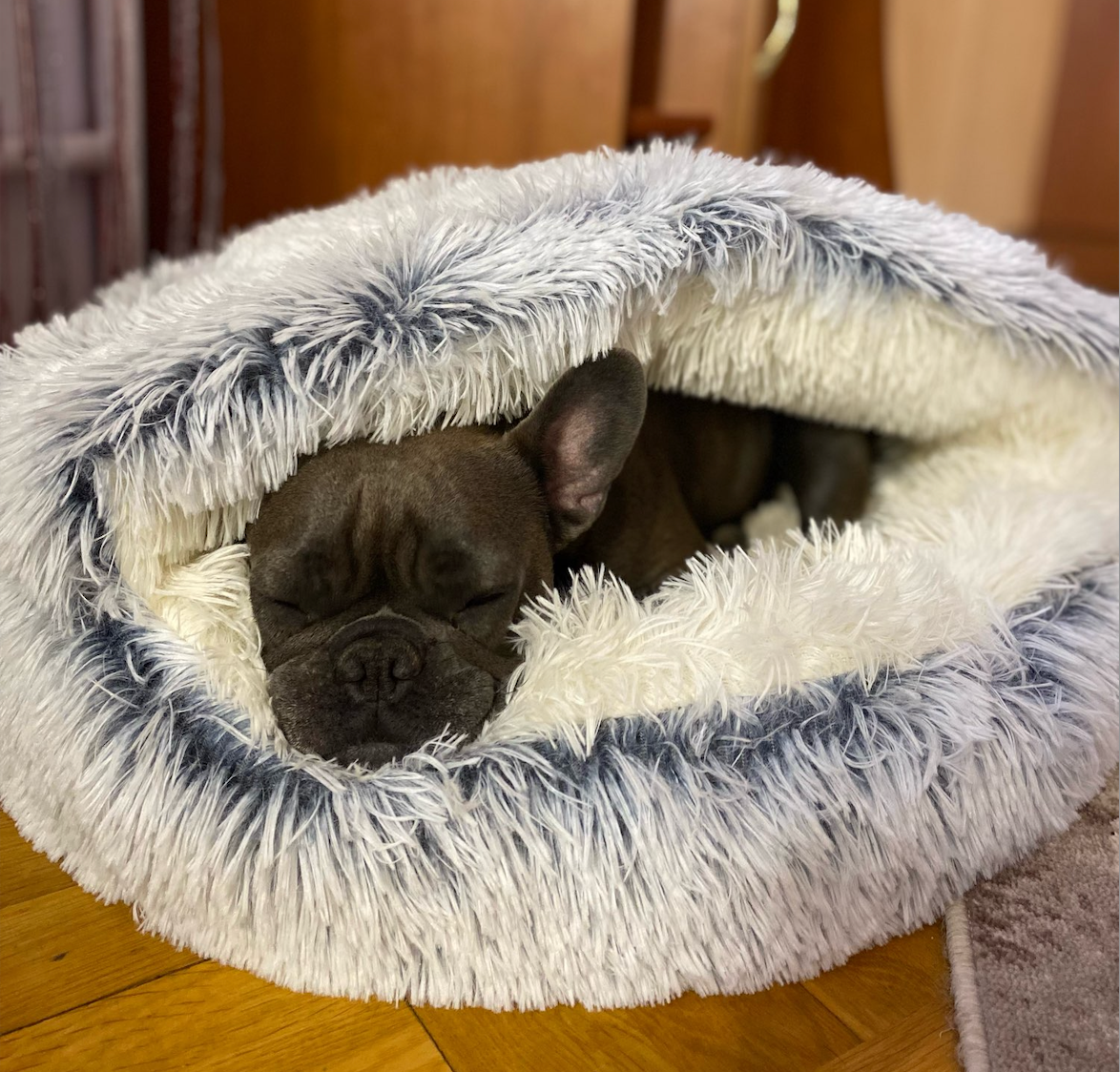 Cozy Cave Dog Bed with Non-Slip Base – Machine-Washable Plush Pet Cushion