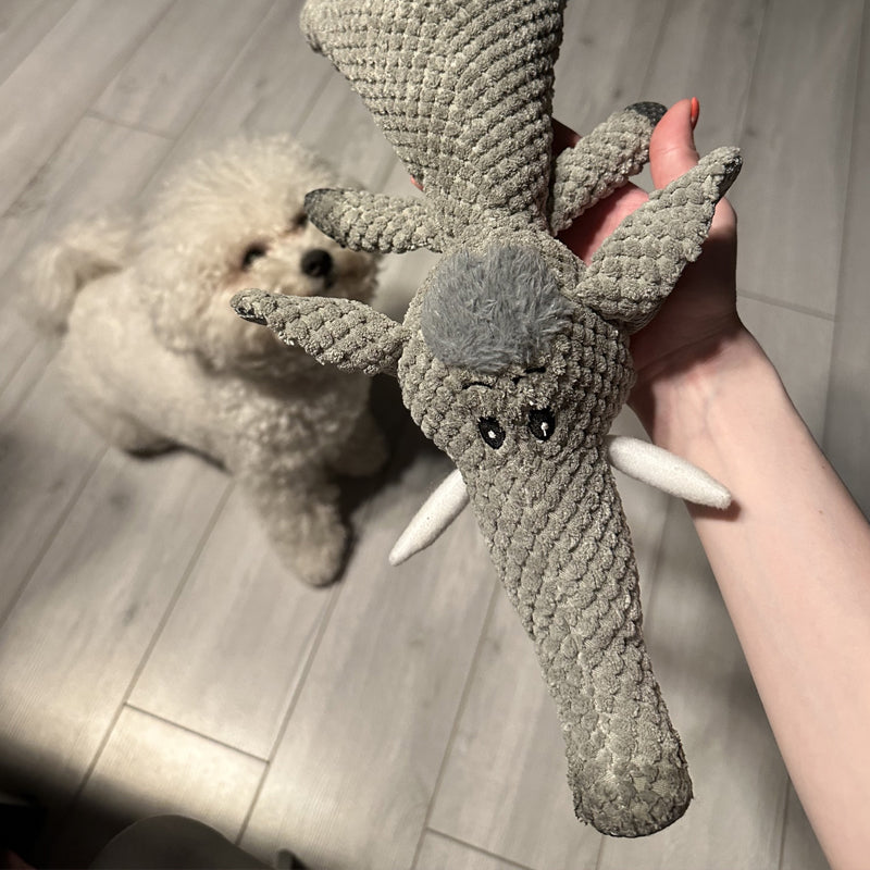Extra Strong Dog Toy for Active Chewing – Durable Tug Toy Made from Pet-Safe Material, Ideal for All Sizes
