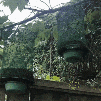 Hanging Insect Trap – Non-Toxic Solution for Mosquitoes, Flies, and Wasps