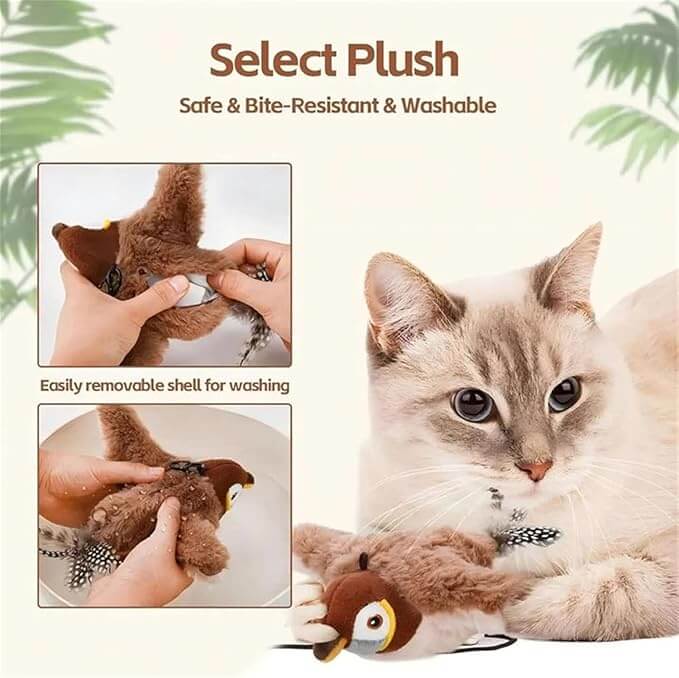 Interactive Bird Cat Toy