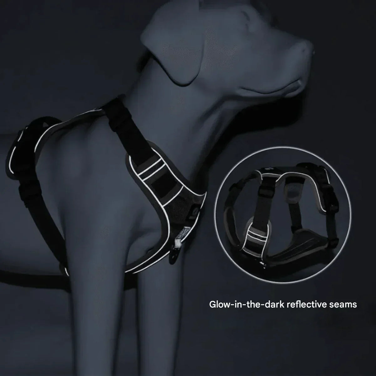 No-Pull Dog Harness with Comfort Padding – PullFree