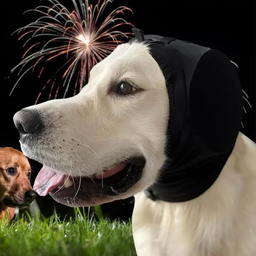 Noise-Cancelling Ear Muffs for Dogs