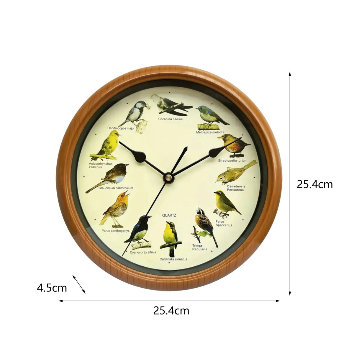 Singing Bird Wall Clock for Home Decoration