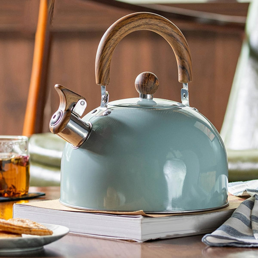 Stainless Steel Whistling Kettle – Induction Compatible