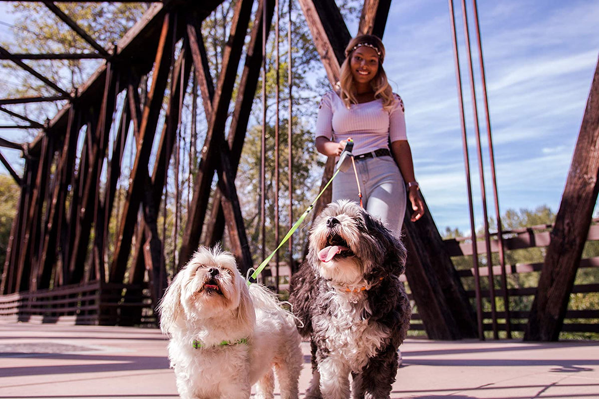 Tangle-Free Double Dog Leash