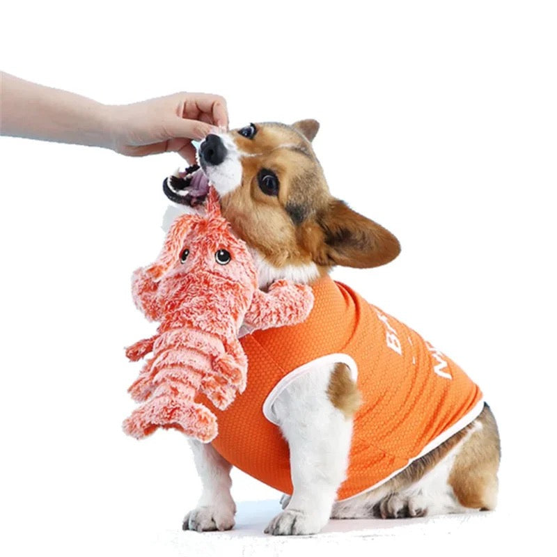 Wiggly Lobster Interactive Motion Dog Toy