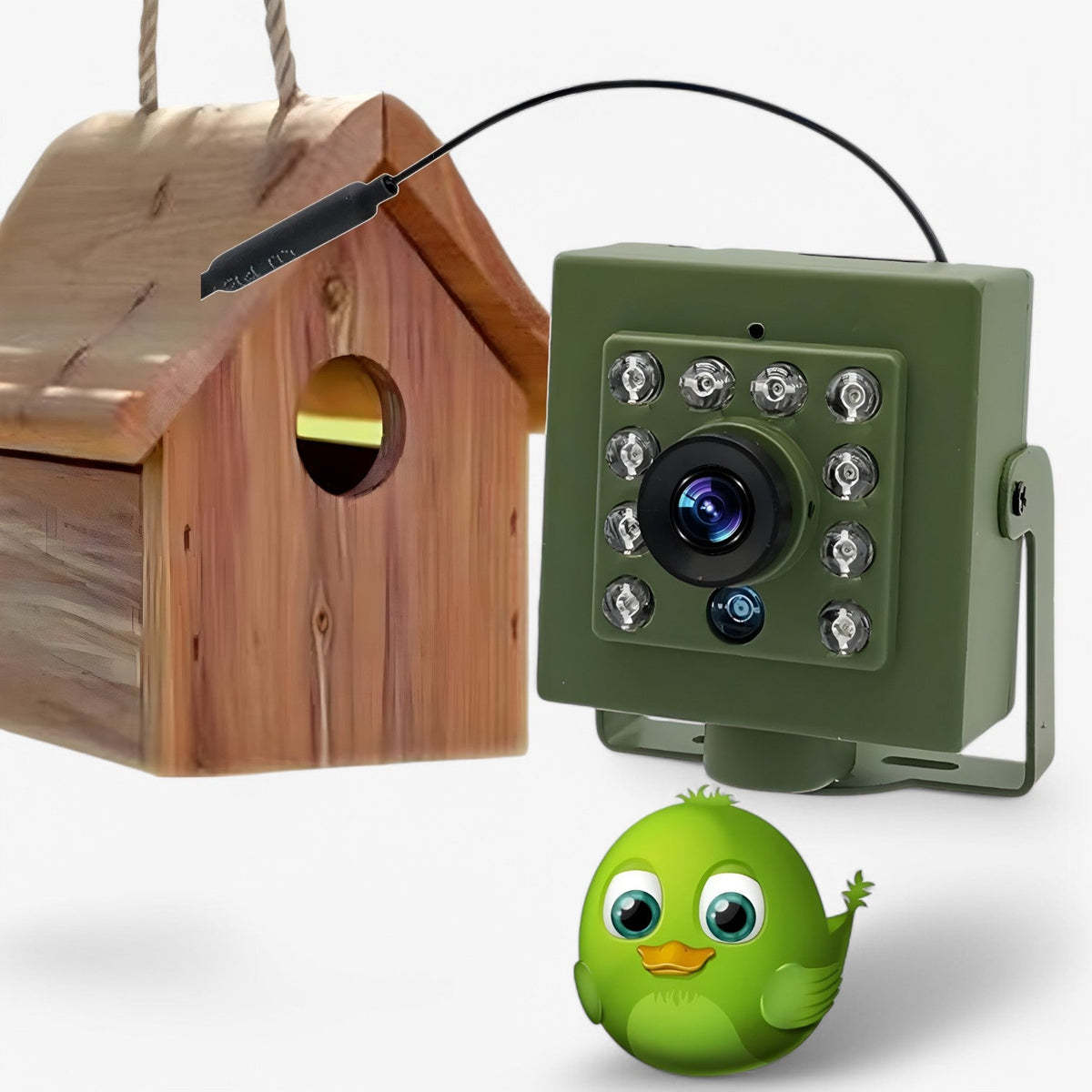 1080p HD WiFi Bird Nest Camera – Waterproof Outdoor Wildlife Camera with Night Vision
