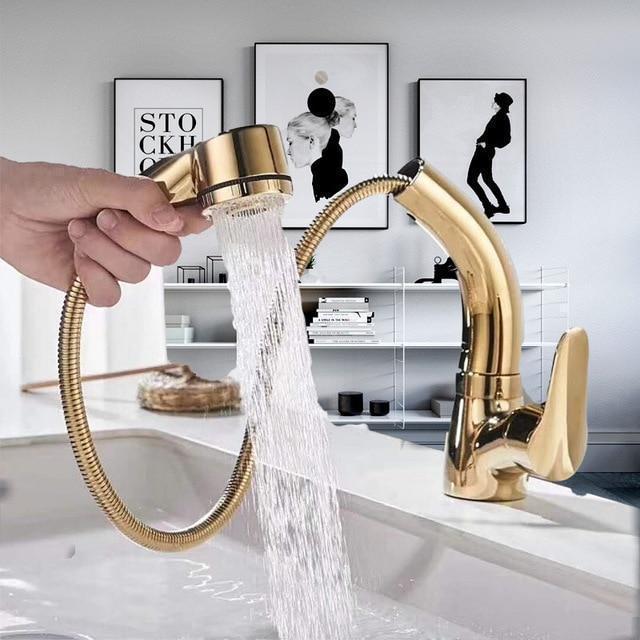 360° Pull-Out Spray Faucet