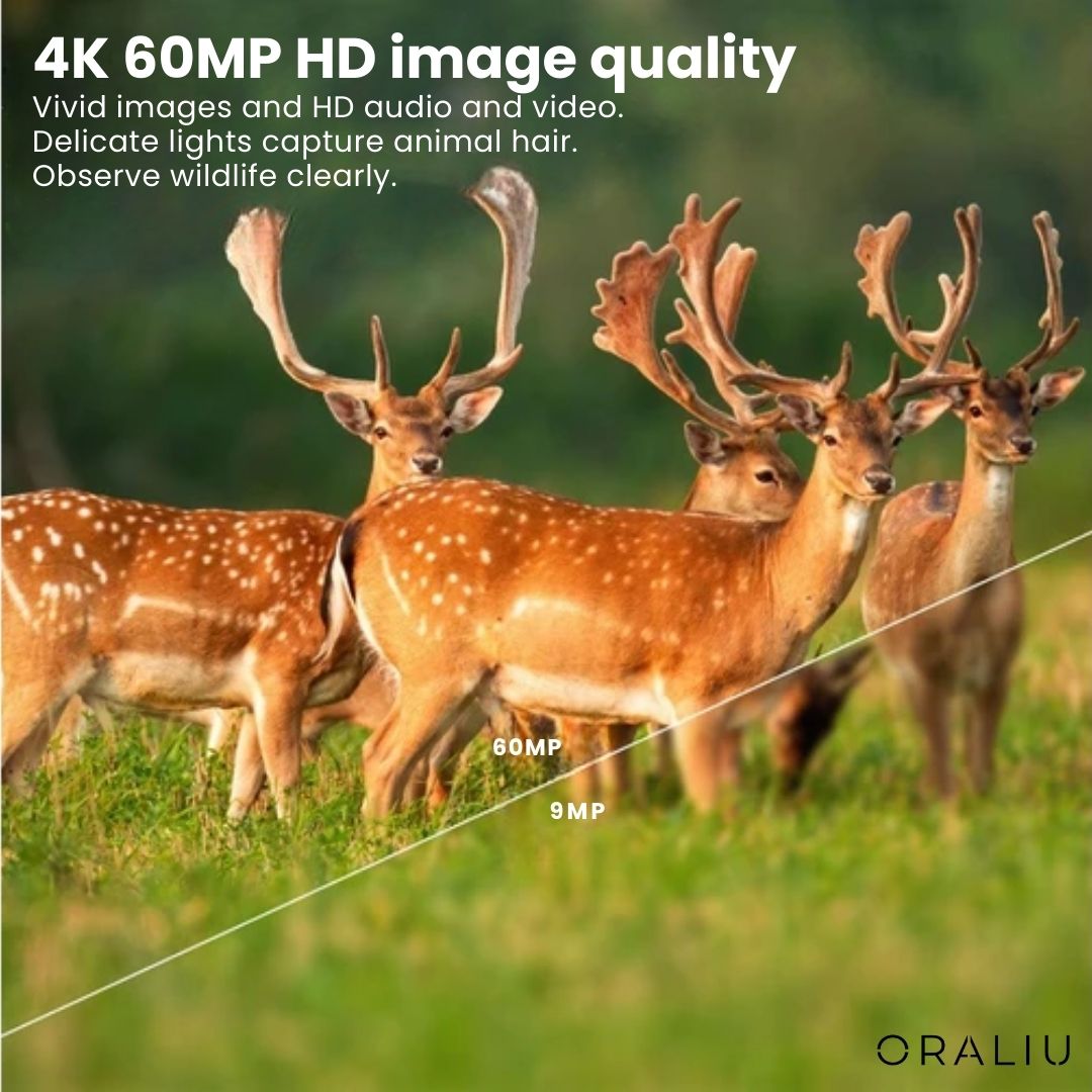 4K Ultra HD Wildlife Camera with 60MP and App Control