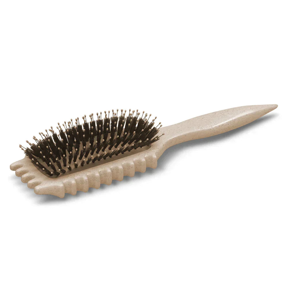 Anti-Frizz Curl Detangling Brush for Coily Hair