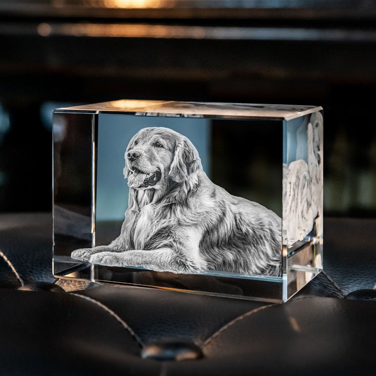 Bring Your Photo to Life as a Beautiful Work of Art