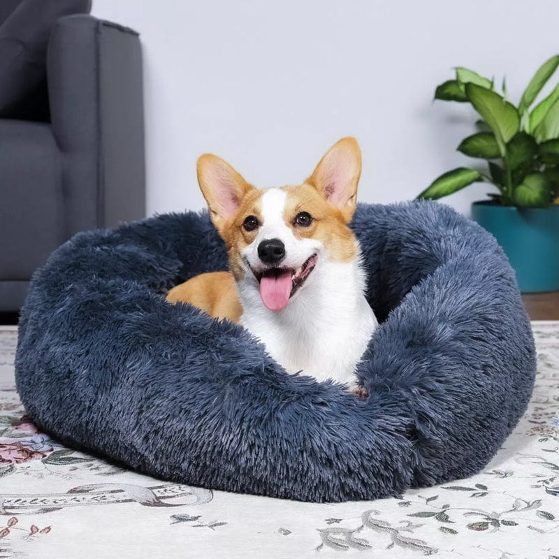 Calming Dog and Cat Bed with Raised Rim