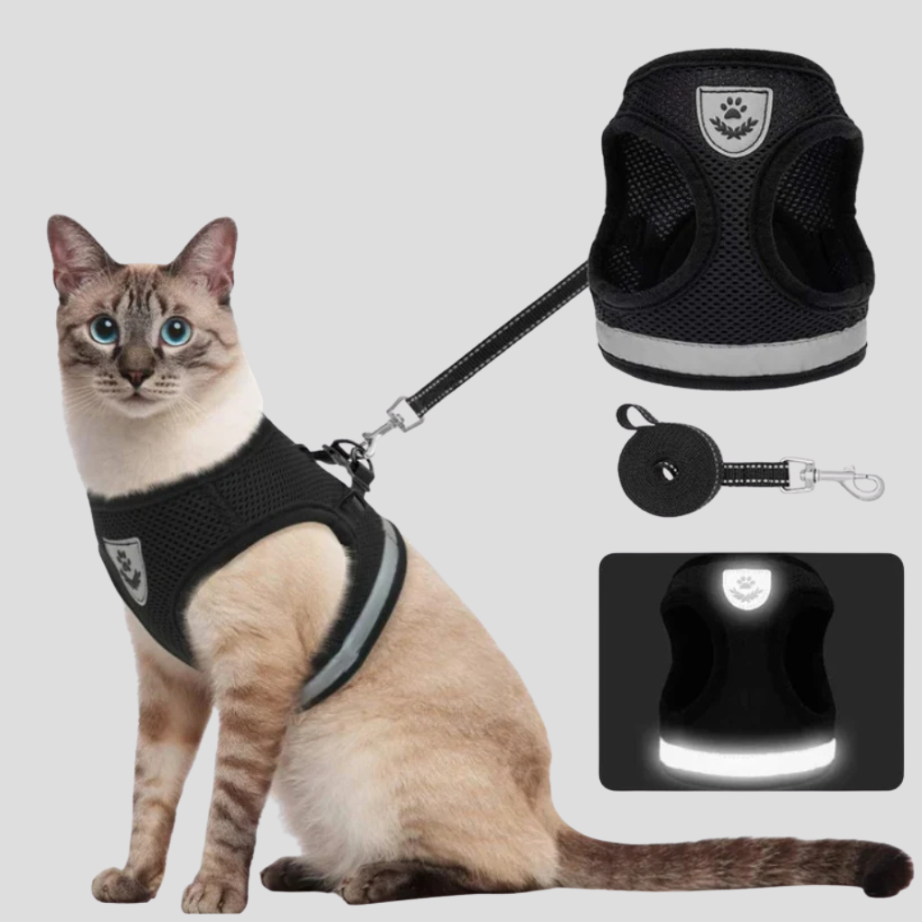 Cat Harness and Leash Set