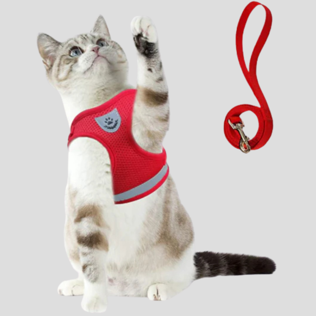 Cat Harness and Leash Set