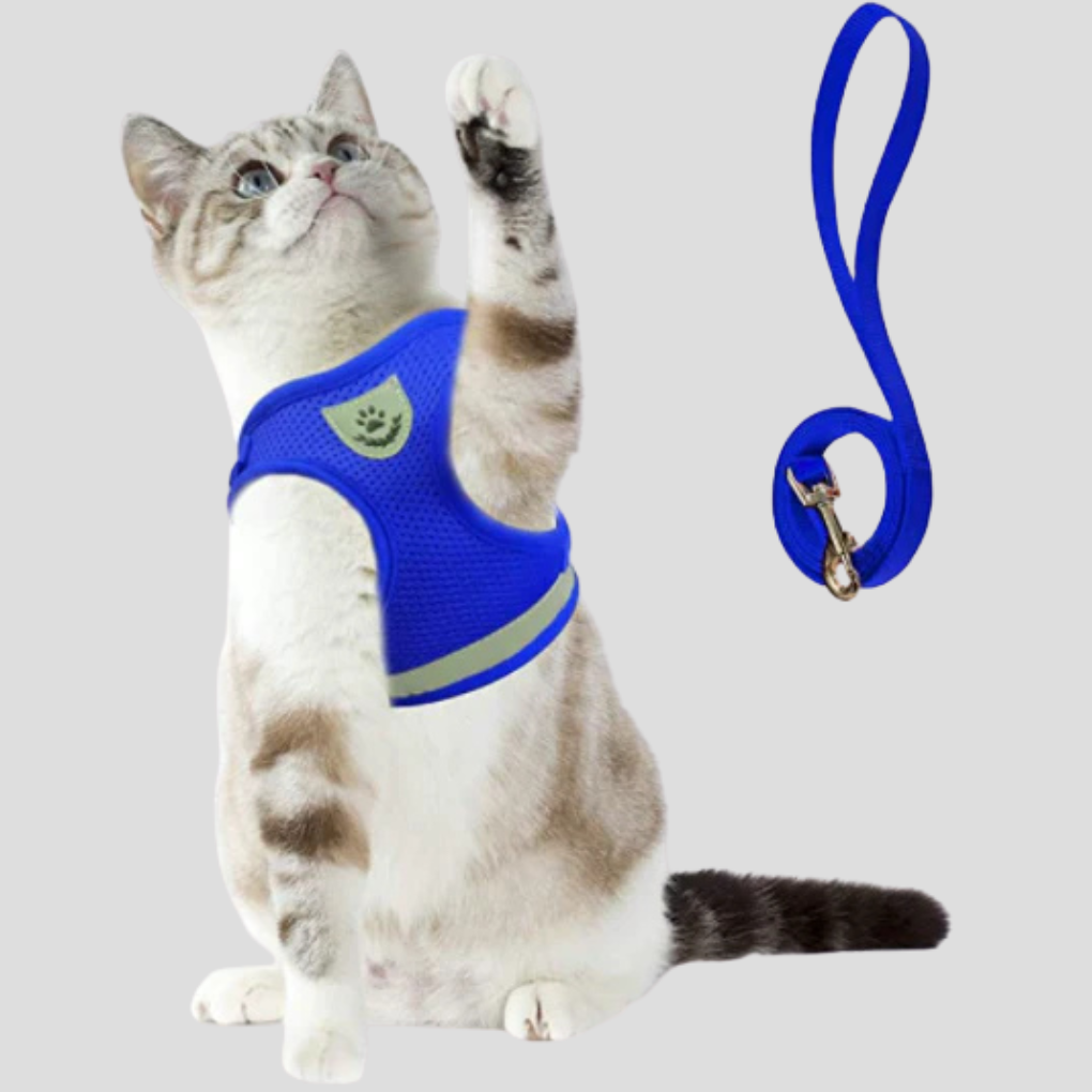 Cat Harness and Leash Set