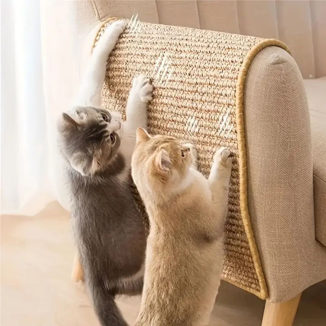 Cat Scratching Mat
