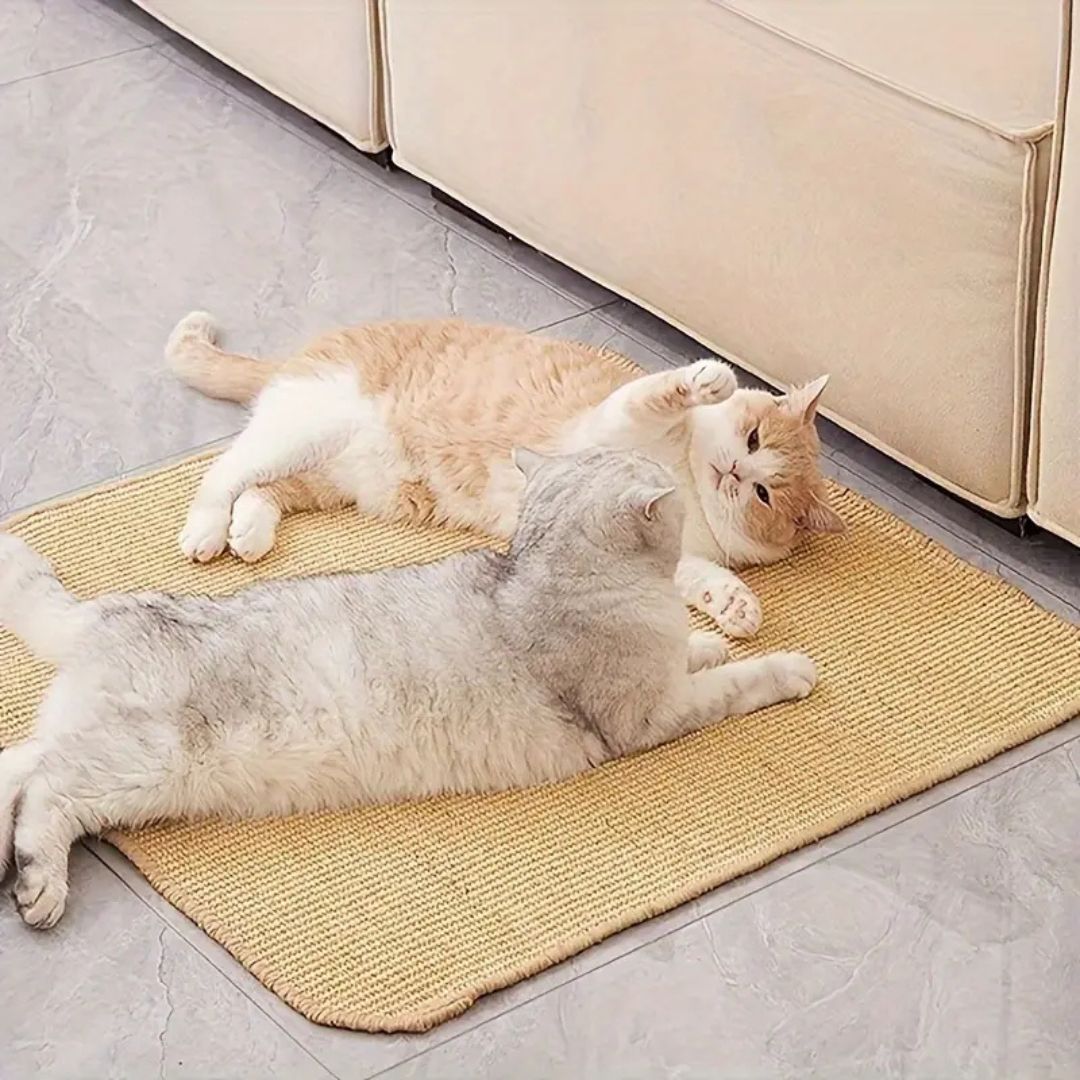 Cat Scratching Mat