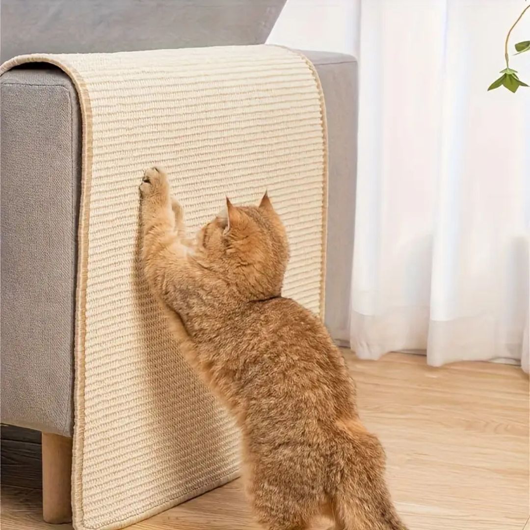 Cat Scratching Mat