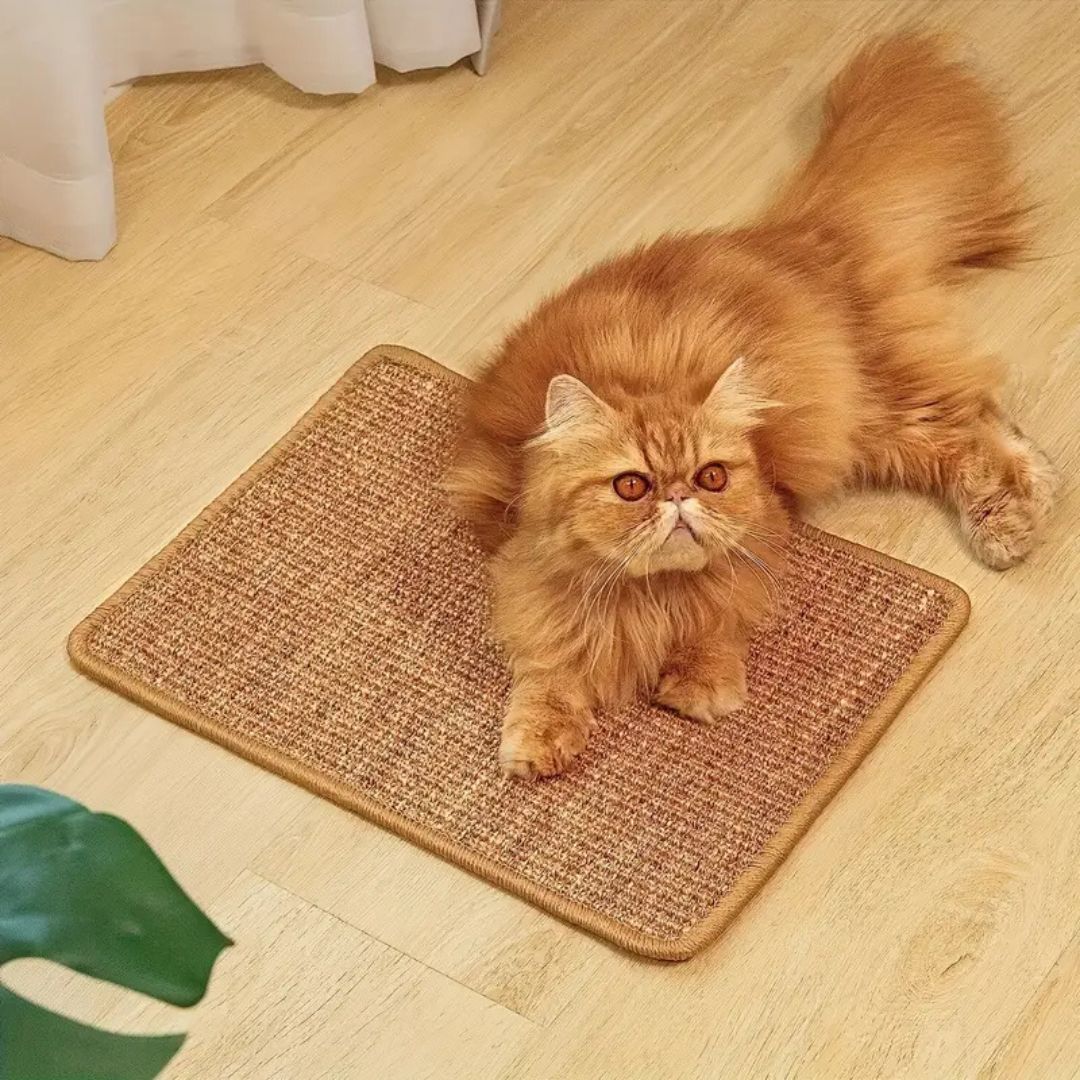 Cat Scratching Mat