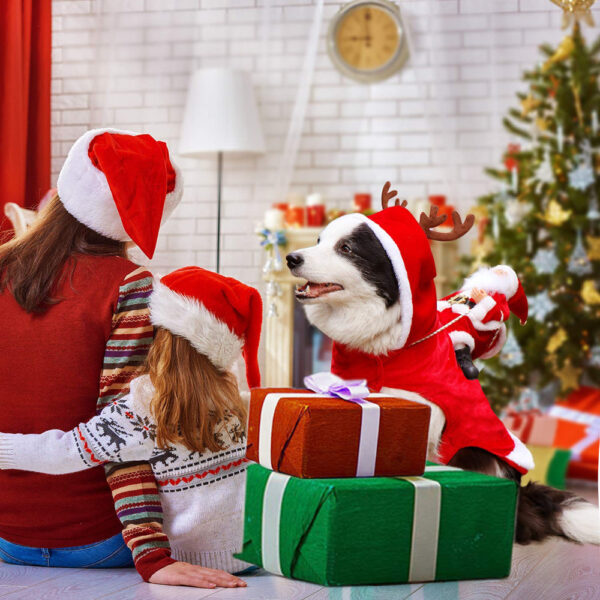 Christmas Dog Costume