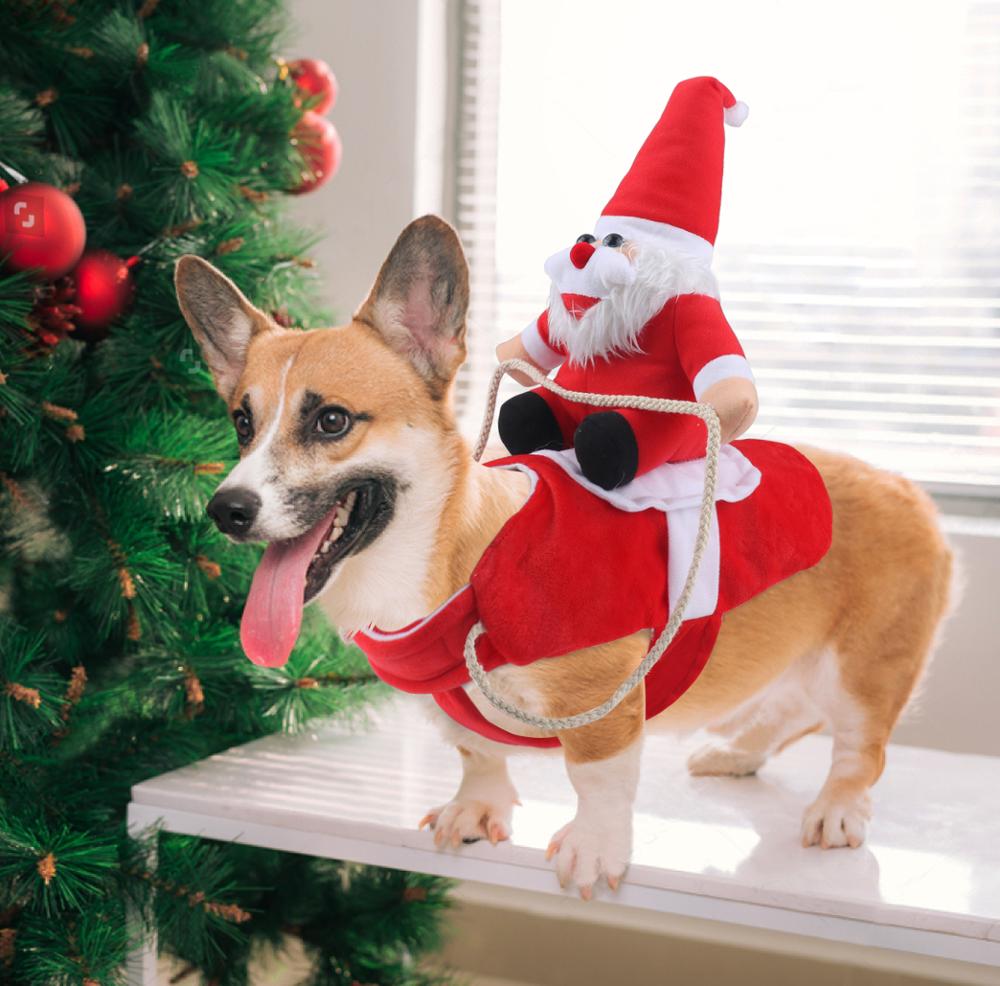 Christmas Dog Costume