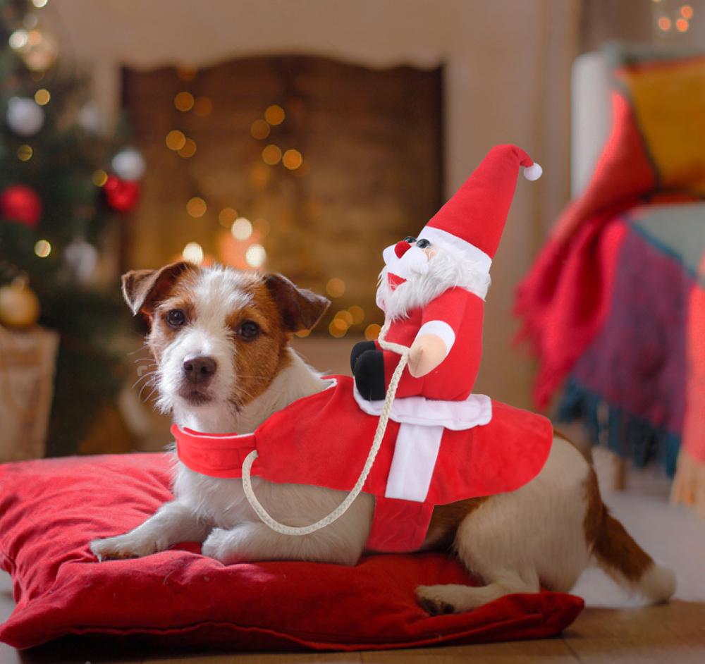 Christmas Dog Costume