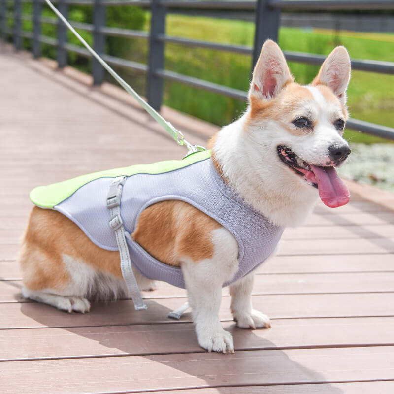 Cooling Dog Vest