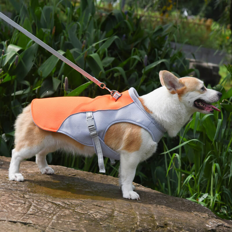 Cooling Dog Vest