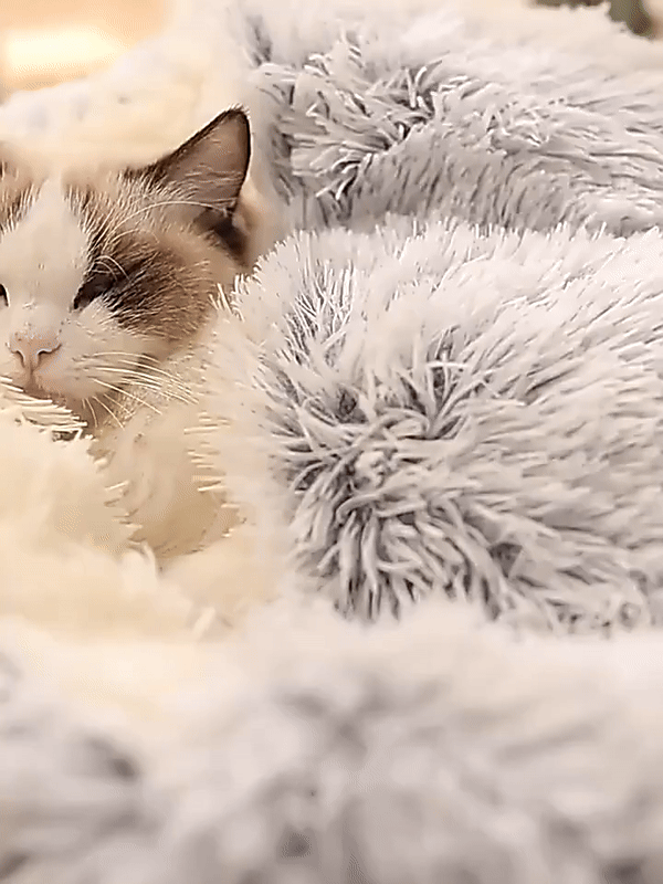 Cozy Cave Pet Bed | Calming and Comfortable Dog Bed for Deep Relaxation