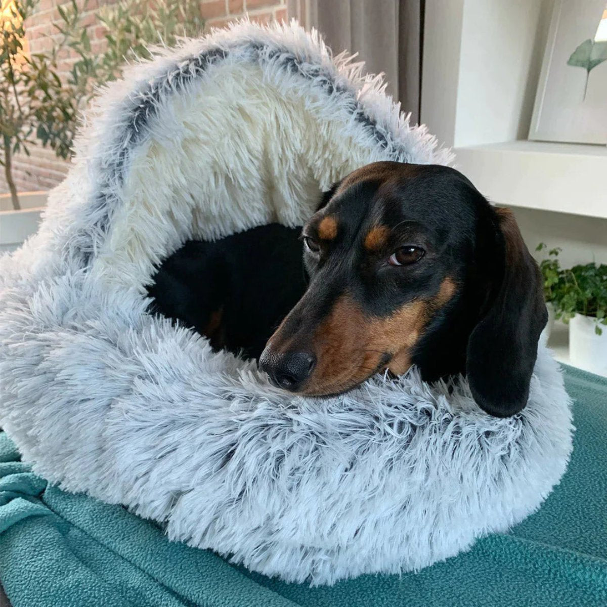 Cozy Cave Pet Bed | Calming and Comfortable Dog Bed for Deep Relaxation
