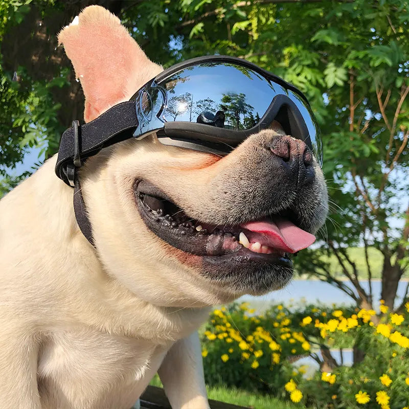Dog Goggles - UV Protection - Windproof - Comfortable