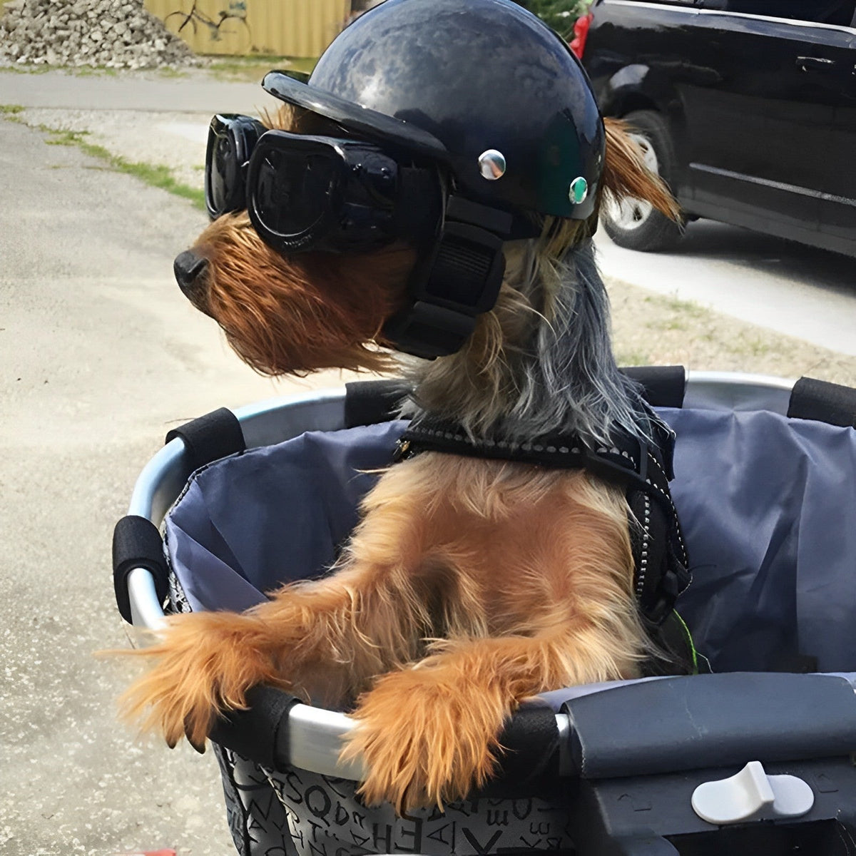 Dog Motorcycle Helmet and Goggles – Stylish and Safe