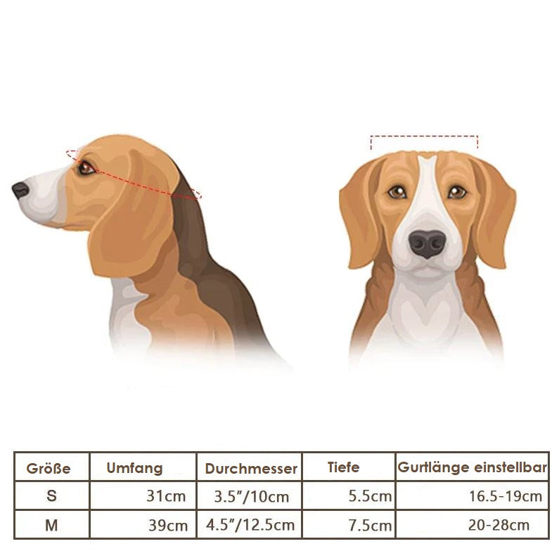 Dog Motorcycle Helmet and Goggles – Stylish and Safe
