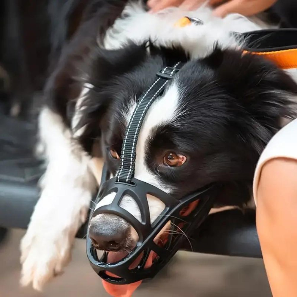 Dog Muzzle – Effective Anti-Bite and Anti-Bark Solution, Breathable and Comfortable