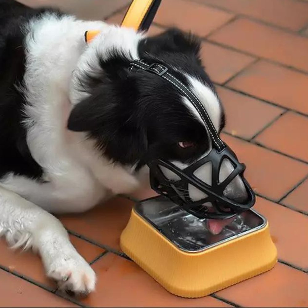 Dog Muzzle – Effective Anti-Bite and Anti-Bark Solution, Breathable and Comfortable