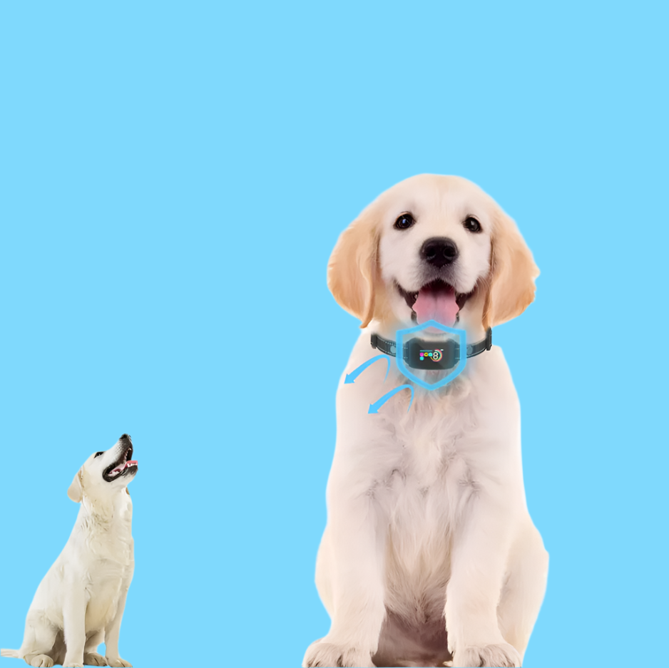 Dog Training Collar with Remote - 8 Levels, Vibration & Shock