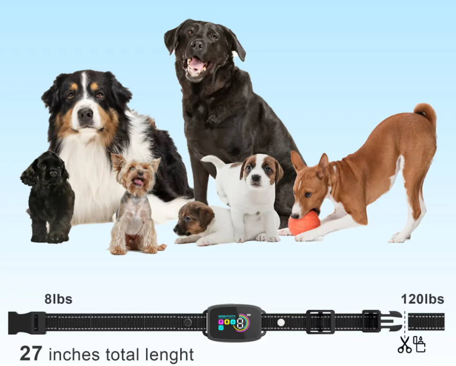 Dog Training Collar with Remote - 8 Levels, Vibration & Shock