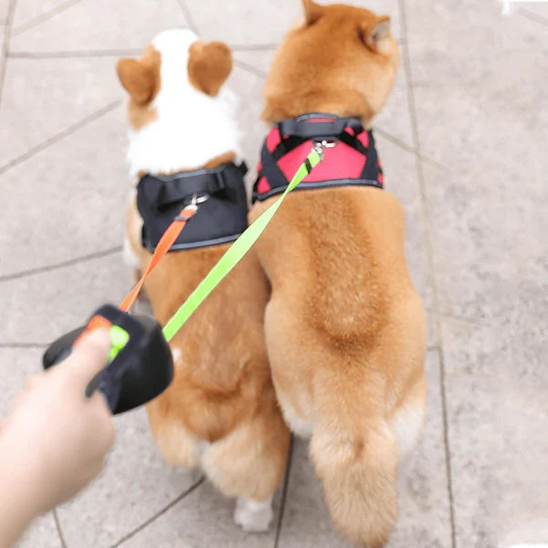 Dual Tangle-Free Dog Leash