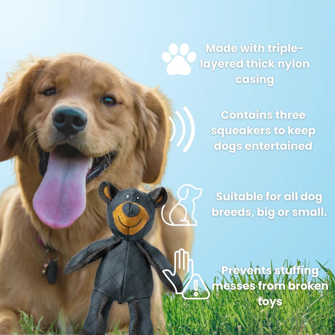 Durable Dog Chew Toy