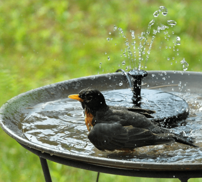 Eco-Friendly Solar Garden Fountain