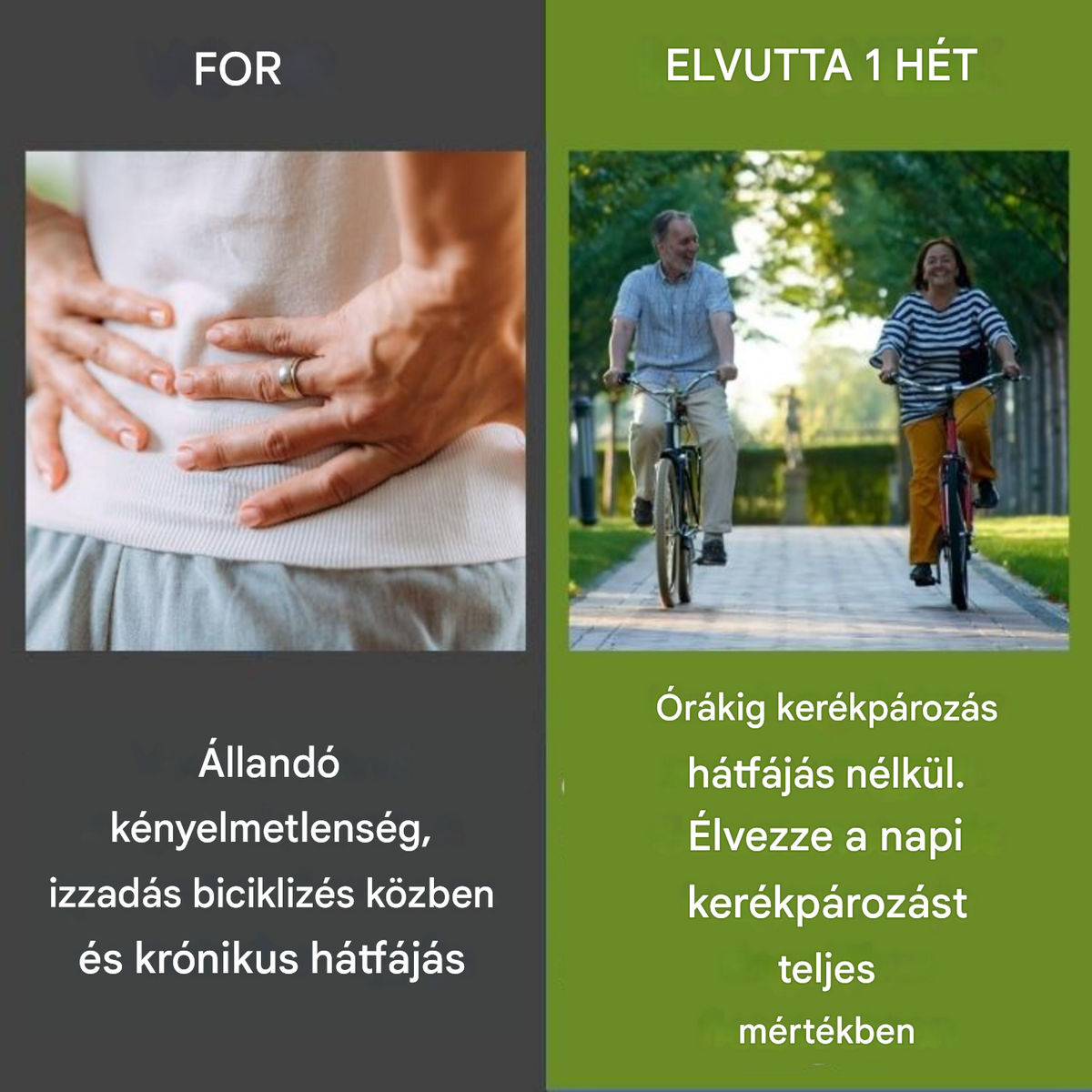 Ergonomic Cycling Shorts