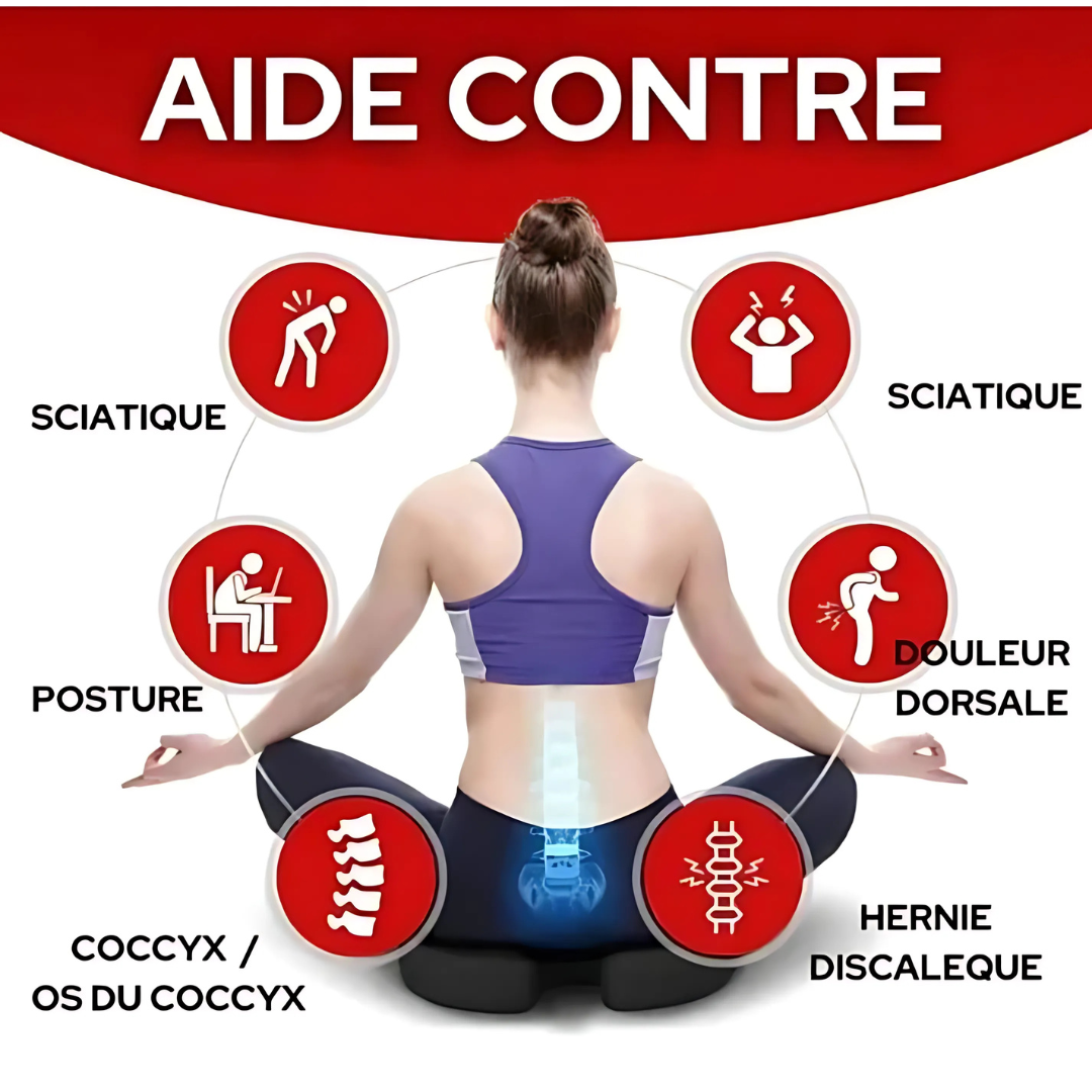 Ergonomic Memory Foam Seat and Coccyx Cushion