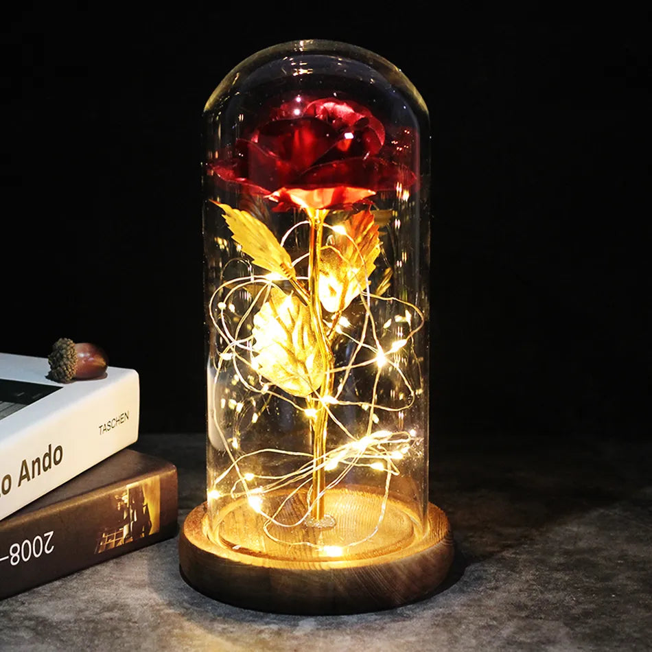 Eternal Rose with Light