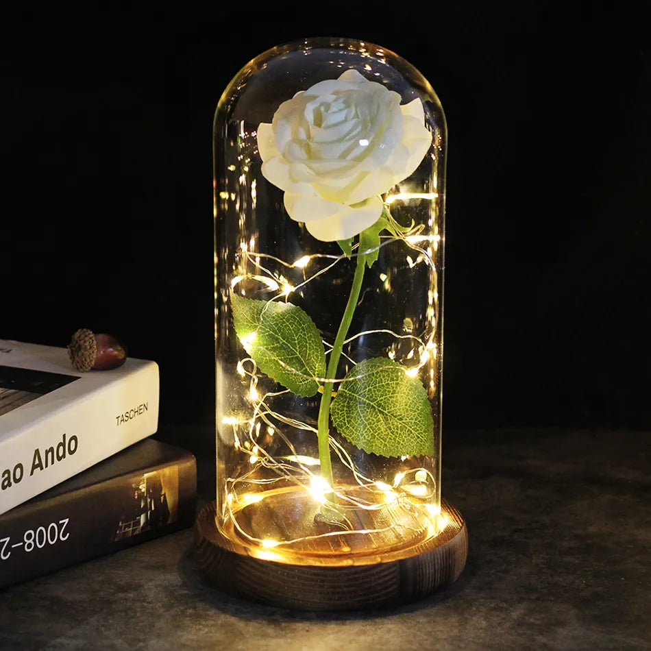 Eternal Rose with Light
