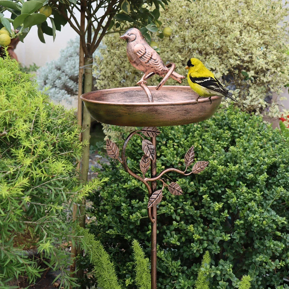 Garden Bird Bath | Decorative Bowl | Sturdy Ground Stake
