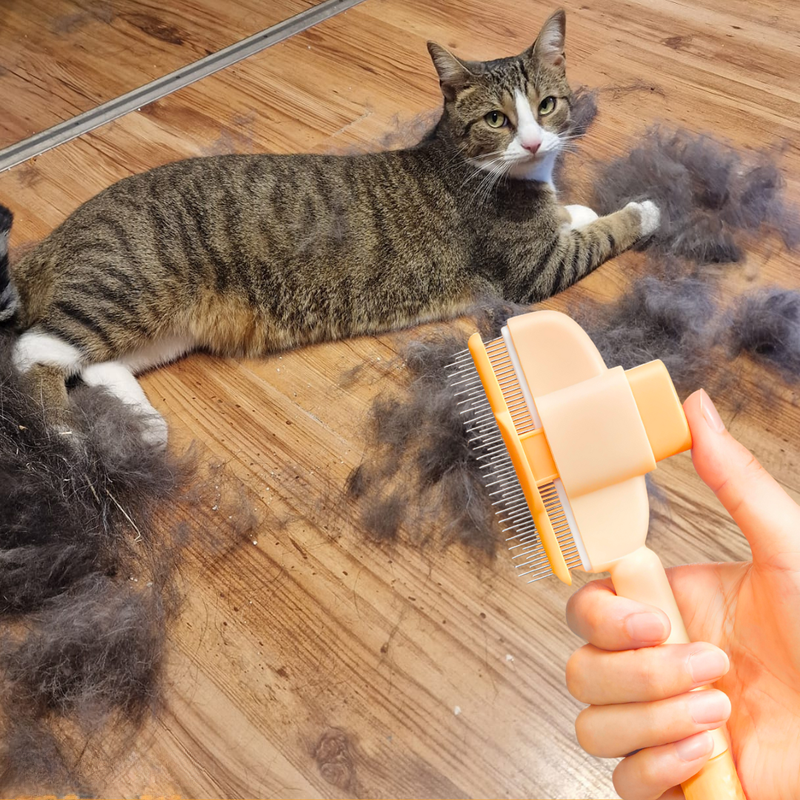 Grooming Brush – The Ultimate Coat Care Solution