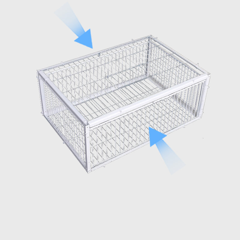 Humane Bird Trap with 2 or 4 Entrances