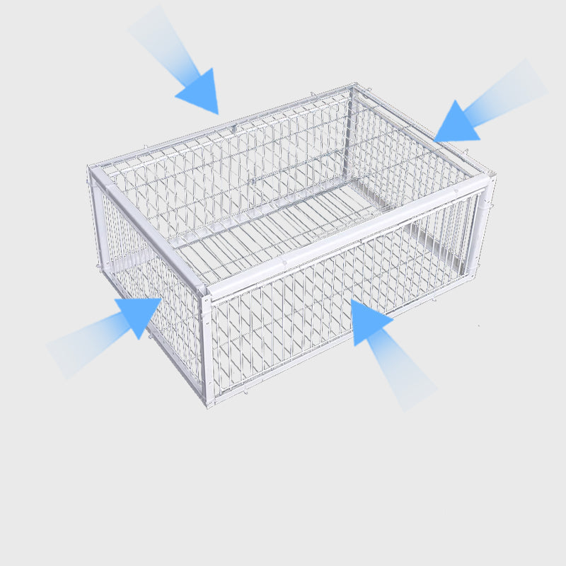 Humane Bird Trap with 2 or 4 Entrances