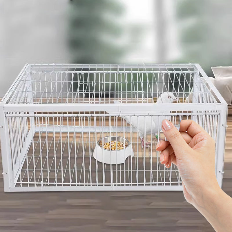 Humane Bird Trap with 2 or 4 Entrances
